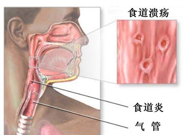 http://www.39fengliao.com/